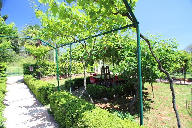 The Green House - 20M From The Beach Novigrad Istria Cameră foto